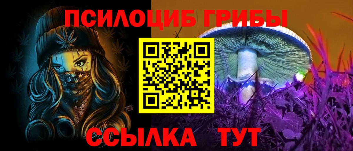 продажа наркотиков  Вход с VPN  Кудрово  Псилоцибиновые грибы Psilocybine cubensis  Галлюциногенные грибы прущие грибы 